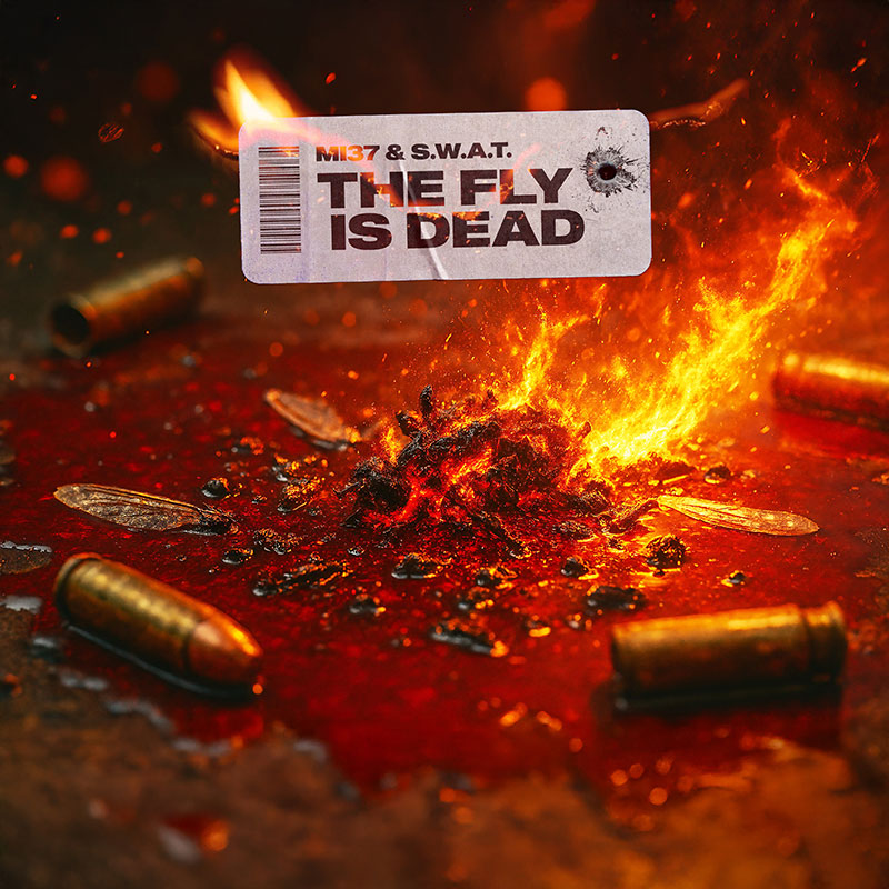MI37 & S.W.A.T. - The Fly is Dead